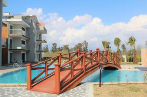 Excellent Mountain View Apartment